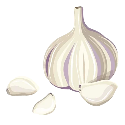 ingredients-icon-Kampek (20)-5227bfe8