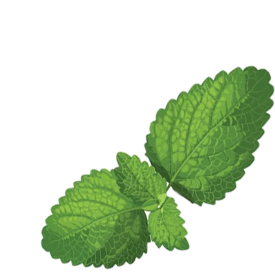 ingredients-icon-Kampek (25)