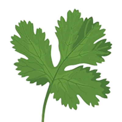 ingredients-icon-Kampek (7)