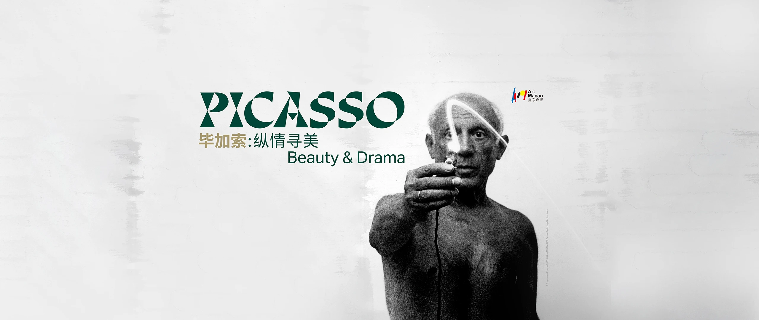 Picasso: Beauty and Drama