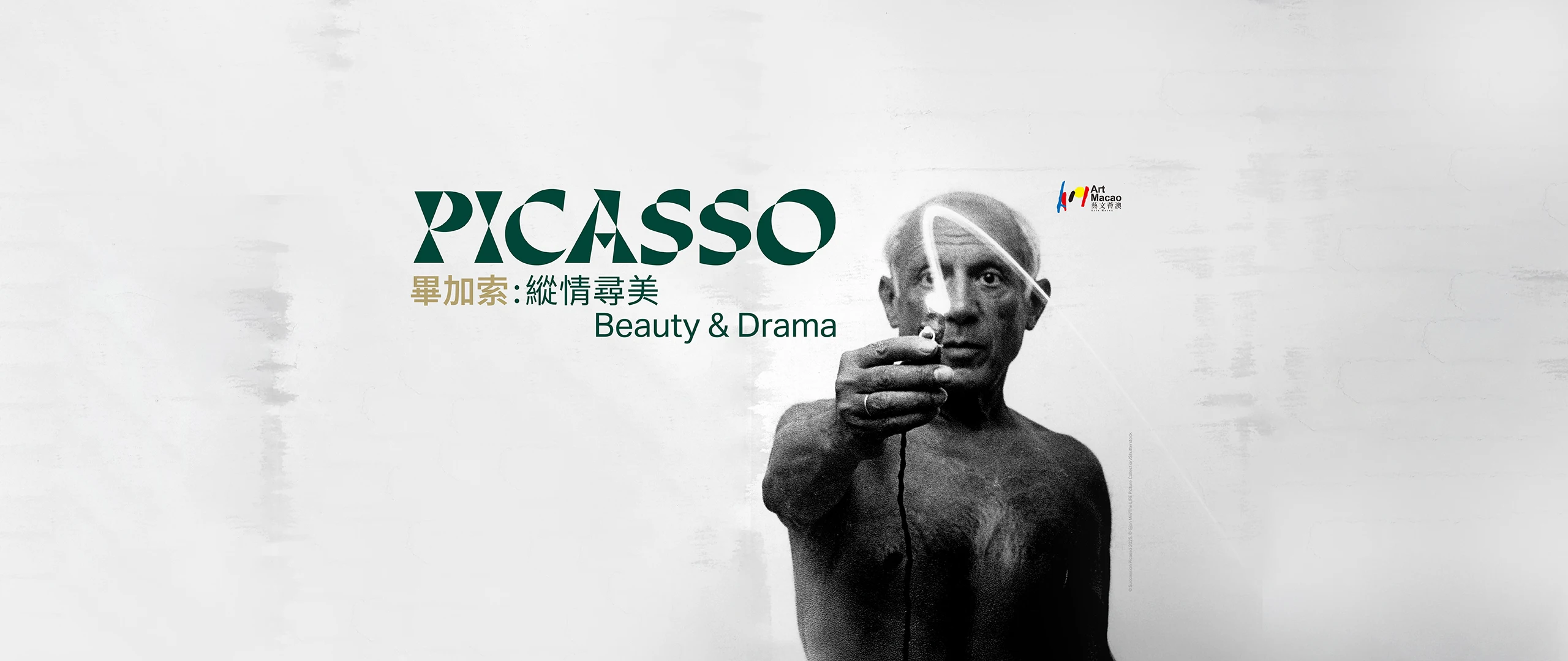 Picasso: Beauty and Drama