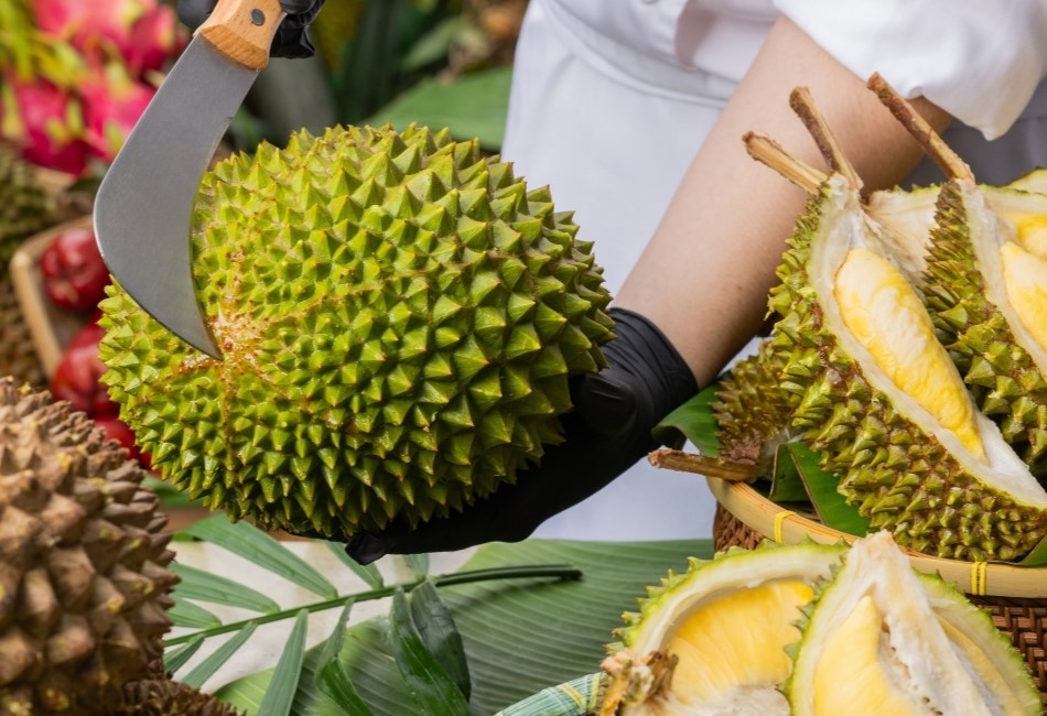 Delectable Durian Carnival