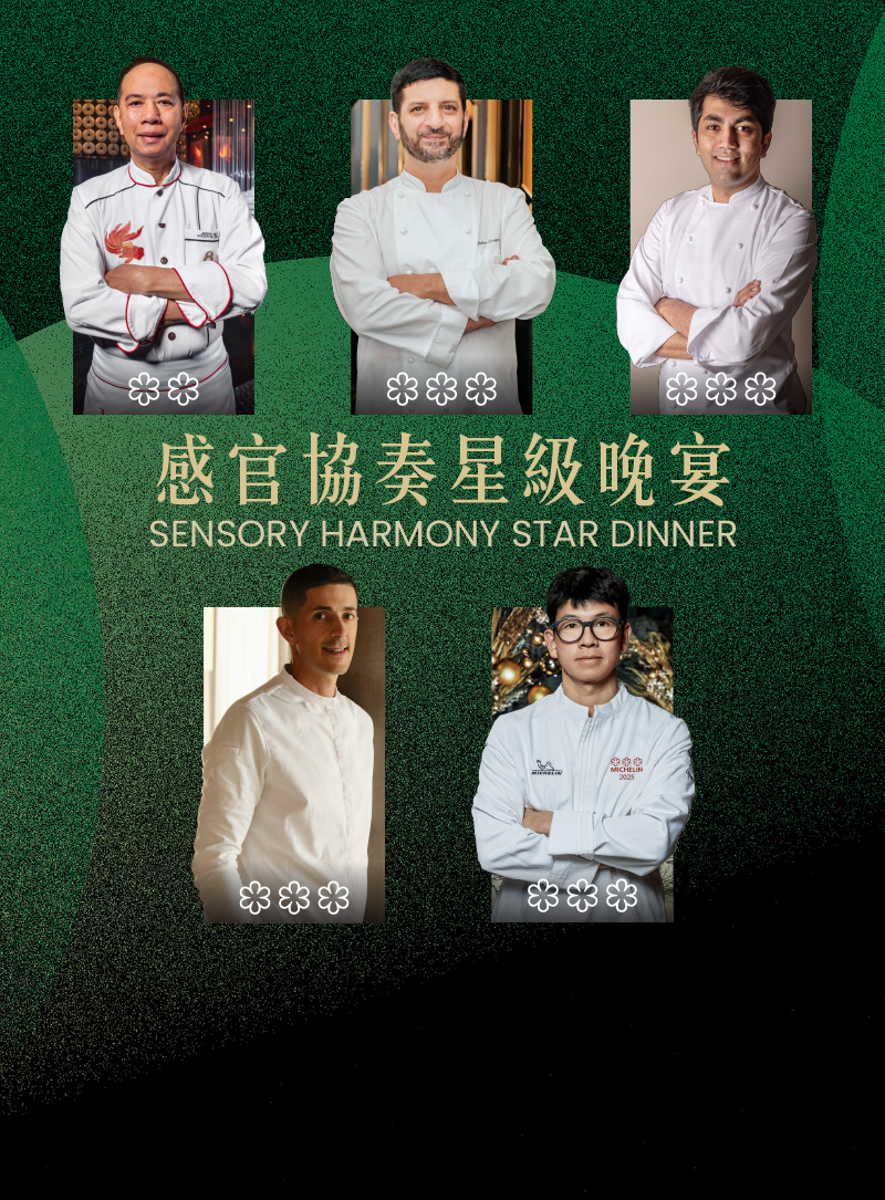 Sensory Harmony Star Dinner