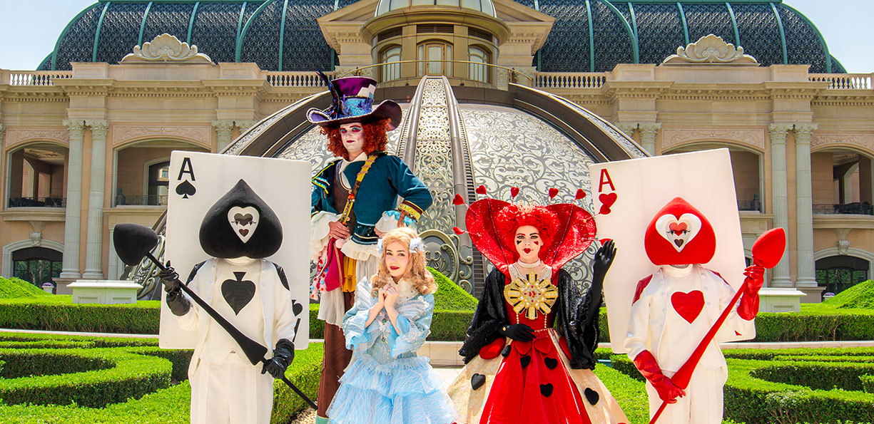  ALICE AND FRIENDS