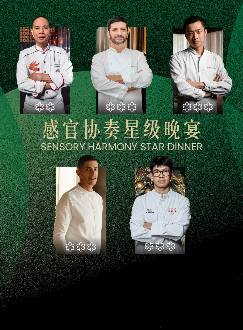 Sensory Harmony Star Dinner