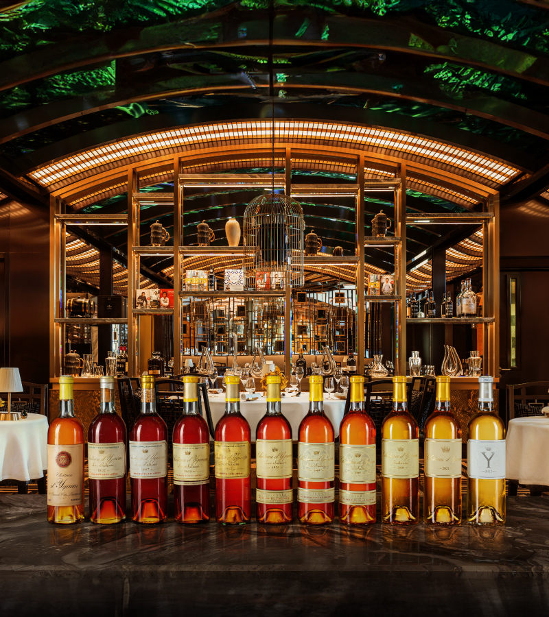 glp-one-hundred-years-of-liquid-gold-at-mesa-highlight glp-one-hundred-years-of-liquid-gold-at-mesa-highlight